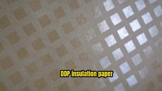 DDP inlulation paper